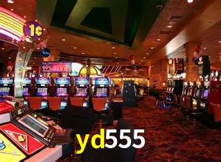 yd555 Curitiba - Live Status